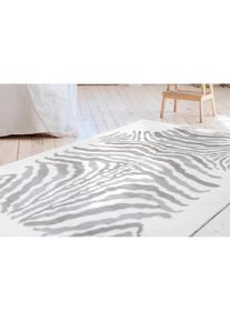 Calo-deluxe, Hochflor-Teppich &raquo;Vogesen 400&laquo; rechteckig 30 mm H&ouml;he weiche Haptik, Wohnzimmer, grau/wei&szlig;, Kunstfaser, B : 120 cm 1 Stk. -30 mm, grau/