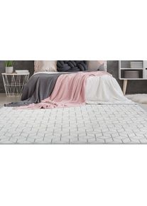 Calo-deluxe, Teppich &raquo;Jardan-1000&laquo; rechteckig 20 mm H&ouml;he besonders weich durch Microfaser, Wohnzimmer, anthrazit/wei&szlig;, Kunstfaser, B : 80 cm 1 Stk. -