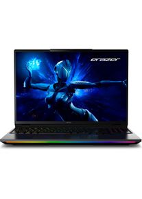 Erazer Beast 16 X1 Ultimate 16" 2.5K Core Ultra 9 275HX 32GB/2TB SSD RTX 5090 Win11 MD62732 (16", Intel Core Ultra 9 275HX, 32 GB, 2000 GB, DE), 