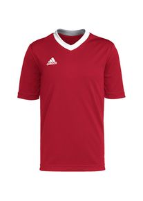 adidas Performance , Fußballtrikot »ENT22 JSY Y« , TEPORE , 152 , 152