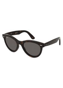 Ray-Ban 0RB2241 Unisex Zonnebril, havana