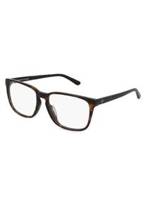 Polo Ralph Lauren RL6226U Mannen Bril, Havanna glanzend