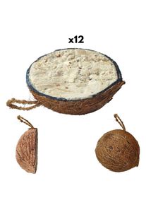 Villfuglmat - 12 Kokosnøtter med Fuglemat for Helår