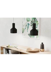 Eglo-Leuchten CASIBARE Hanglamp Zwart, 1-licht