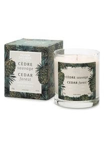 Panier des sens Bougie parfumée