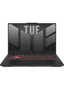 ASUS TUF Gaming A17 RTX 4060 (17.30", AMD Ryzen 5 7535HS, 16 GB, 1000 GB, DE), Notebook, Grau