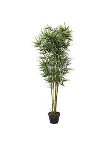 NATURN LIVING Pianta Artificiale Bambù - ø 18 x 135 cm - Phyllostachys - Pianta di bambù che non richiede manutenzione - Verde