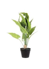 NATURN LIVING Dieffenbachia in plastica - ø 15 x 55 cm - Pianta tropicale da appartamento - Verde