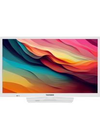 Telefunken 24 Zoll Fernseher XH24O550M-W - HD-Ready Fernseher mit integriertem Triple-Tuner, weiss (24", LED, HD ready), TV, Weiss