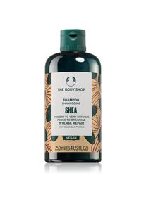 The Body Shop Shea Shampoo shampoo nutriente 250 ml