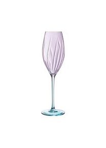 CdA Cristal D'Arques Swirly Spring Caja 4 Copas Flauta Cristalín 21Cl