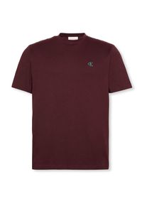 Calvin Klein Jeans T-Shirt Herren rostbraun / hellgrün Größe XS