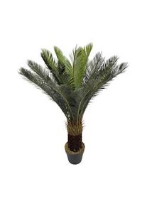 Pianta artificiale Cycas Rebecca Mobili Siyar 90x35x35 Polietilene Polietilene Verde Marrone