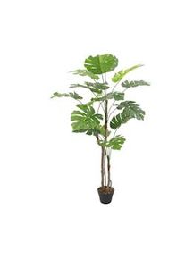 Pianta artificiale Monstera Rebecca Mobili Merah 155x50x50 PEVA Polietilene Verde Marrone