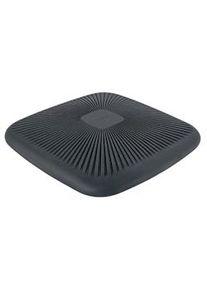 Cojín Wobble Active Leitz Ergo (65390089)