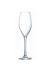 CdA Cristal D'Arques Wine Emotions Caja 4 Copas Flauta Cristalin 24Cl