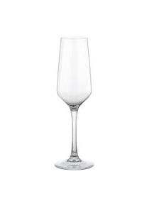 Vicrila Hostelvia. Copa de champán Mencia, de 17 cl. Vidrio templado. Caja de 6 unidades