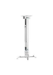 Aisens Soporte Universal Inclinable y Extensible de Techo/Pared para Proyector - Color Blanco CWP01TSE-049