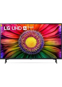 LG 55UR80003LJ (55", UR80, LED, 4K, 2023), TV, Schwarz