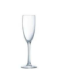 METRO Professional Copa de champán Dina, vidrio, 17 cl, 6 unidades