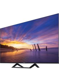 Xiaomi ELA4805EU (32", LED, HD ready, 2023), TV, Schwarz