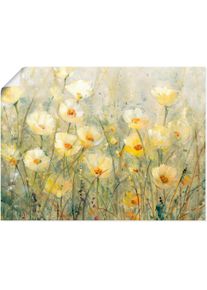 Artland Artprint Zomer in volle bloei I als artprint van aluminium, artprint voor buiten, artprint op linnen, poster, muursticker foto schilderijen