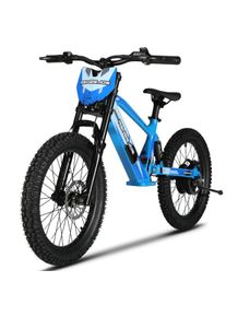 Renegade 20 Inch Wheel Kids Electric Balance Bike