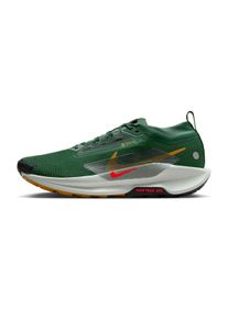 Nike Pegasus Trail 5 GTX Men
