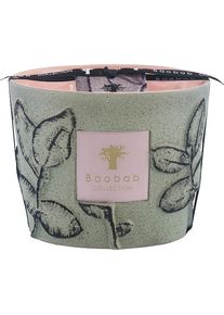 Baobab COLLECTION Baobab Velas perfumadas Vela perfumada Folia Maquis aromáticas Unisex 1150 g