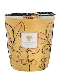 Baobab COLLECTION Baobab Velas perfumadas Vela perfumada Folia Garrigue aromáticas Unisex 2050 g
