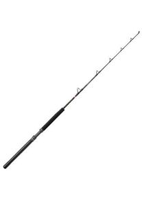 Penn Squall II 20-50Lb 5Ft6 1,68M