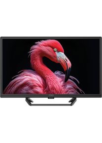 Strong , LED-Fernseher »SRT 24HG4723C«, HD, Smart-TV-Google TV, Video-Streaming: Netflix, Youtube, Amazon Prime Video, Disney+ , schwarz , Teilen...