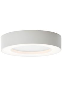 Brillliant Whittaker Lámpara de techo para exterior LED Blanca, 1 luz