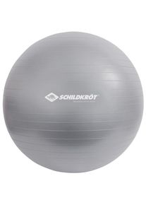 Schildkröt Schildkröt Fitness Gymnastikball Functional training (55 cm |grijs)