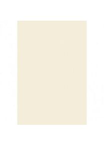 Amscan Nappe Plastique Mila vanille 2,74 x 1,37m