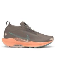 Nike Women's Pegasus Trail 5 GORE-TEX Trail running shoes Women (8, grey)