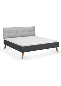 Rauch Bett »Skandi« - 193x219x109cm - grau - Holz