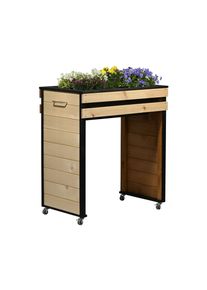 Tchibo - Hochbeet - 47x77x88cm - schwarz - Kiefernholz
