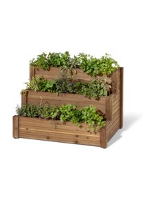Tchibo - Treppenhochbeet mit 3 Ebenen »Tinus« - 90x70x61cm - schwarz - Holz / Stahl / Polyethylen