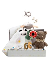 Taf Toys Luxury Newborn Kit gift set for babies