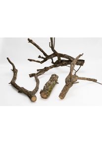 Terra Natura Bodegas Korkeichenzweig, 60 cm, XL (Dekoration, sonstige Bauten), Aquarium Dekoration