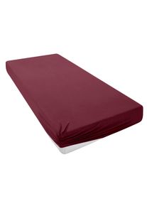 my home Spannbettlaken »PHYSALIS« Baumwolle in rot, Größe 140x200 18