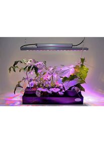 Parus by Venso, Pflanzenlampe, GrowLight Quattro (LED, 230 V)