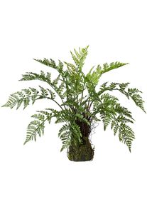 Creativ green Kunstplant (1 stuk) kunstplanten groen