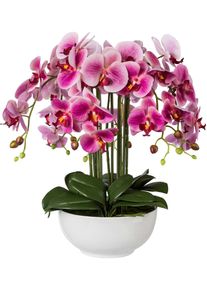 Creativ green Kunstplant (1 stuk) kunstplanten roze
