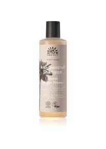 Urtekram Sweet Ginger Flower shampoo idratante antiforfora con estratti di aloe vera e zenzero 250 ml