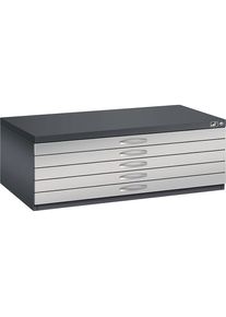 Archivio per disegni C+P