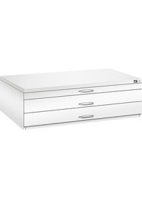 Archivio per disegni C+P