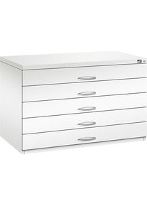 Archivio per disegni C+P