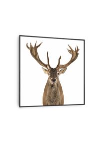 Klarstein Wonderwall Air Art Smart, infravörös hősugárzó, 60 x 60 cm, 350 W, őz